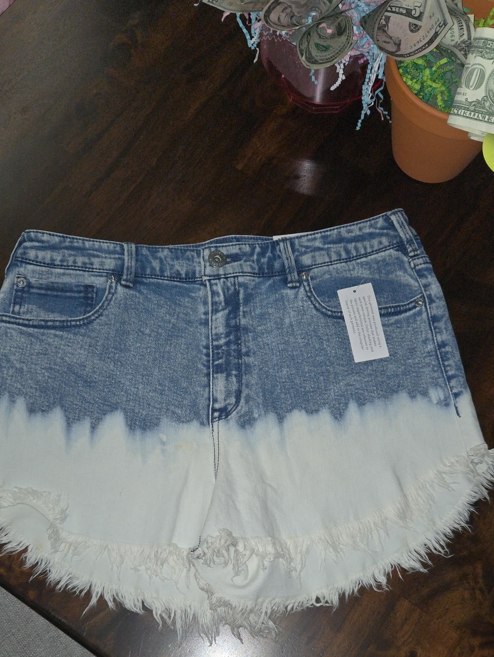 Brand New Inc Denmin Shorts